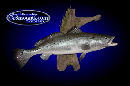 trout blue.png